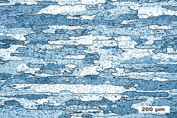 再结晶钼镧板材的光学显微照片