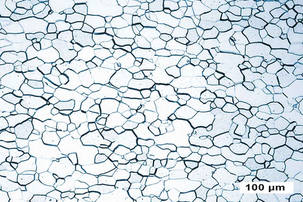 钼板材(再结晶)的光学显微照片