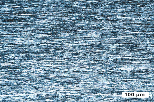 钼板材(应力消除)的光学显微照片