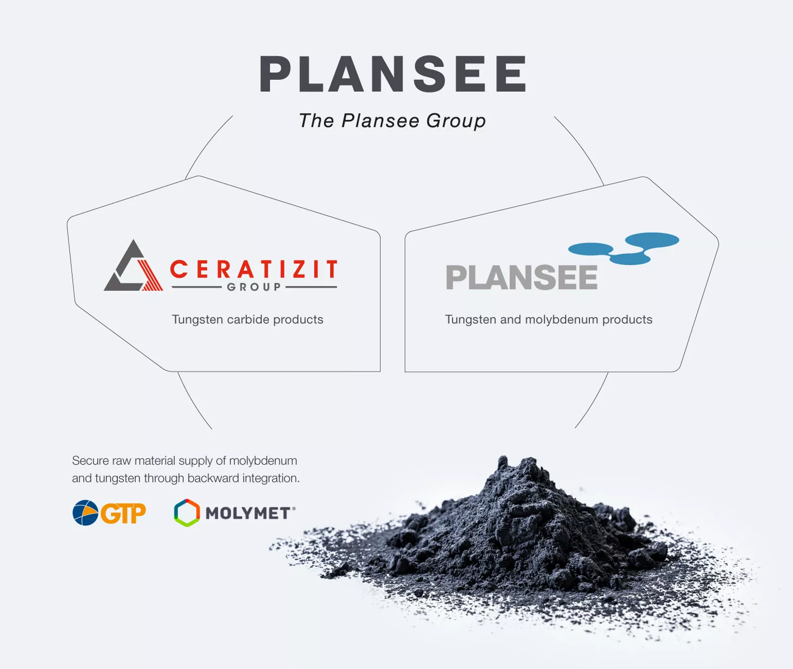 Plansee Group portfolio organization chart