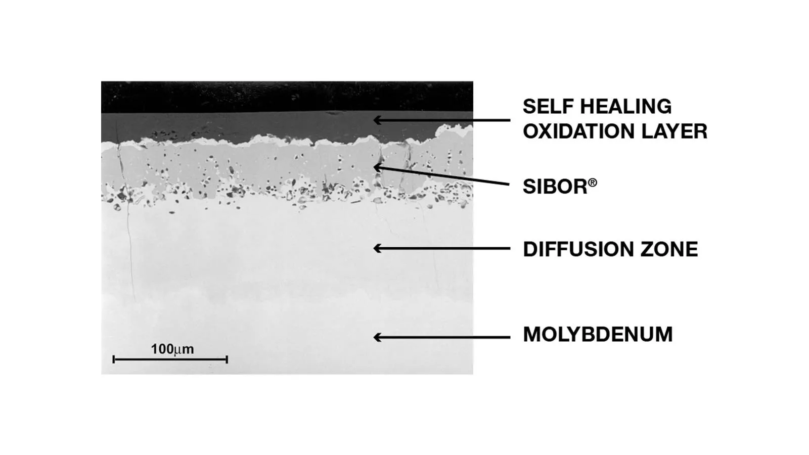 Micrographie de la structure du revêtement en Sibor