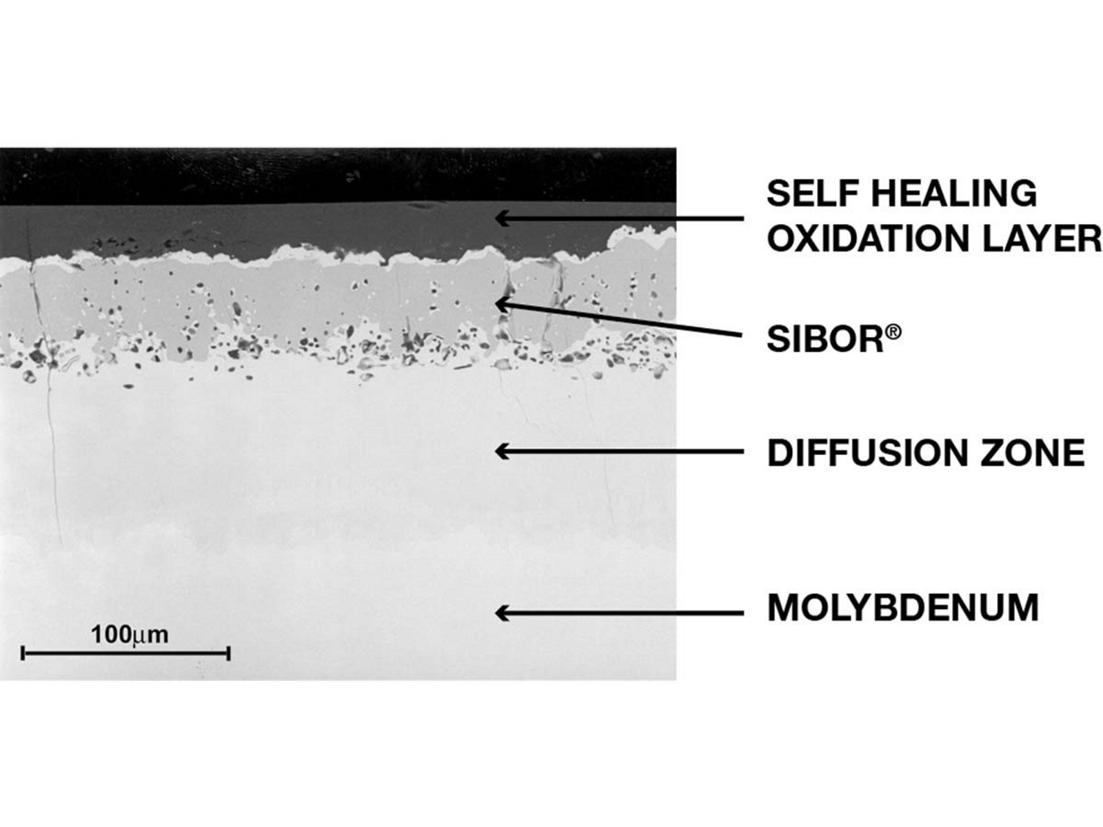 Micrographie de la structure du revêtement en Sibor